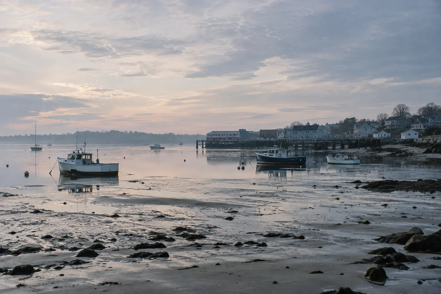 Portland harbor at low tide in the early morning, with fishing boats at their moorings
